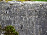 image of grave number 919805